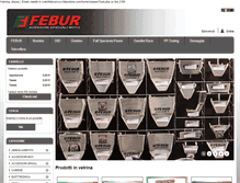 Tablet Screenshot of feburstore.com